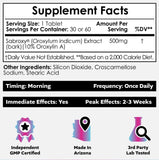 Nootropics Depot primer plano de una tableta mostrando forma y acabado para fácil ingesta
