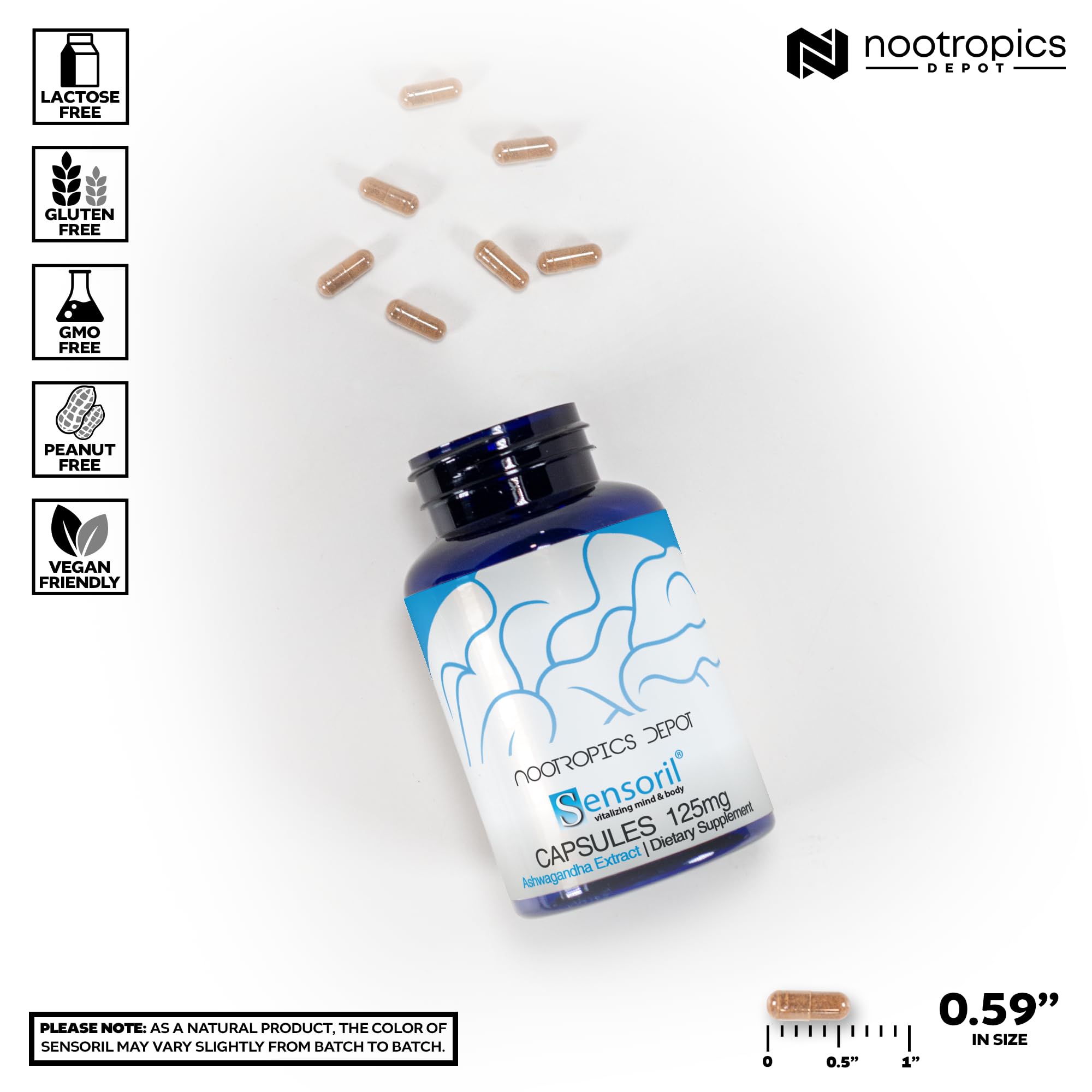 Nootropics Depot polvo de Sensoril textura del extracto para composición estandarizada