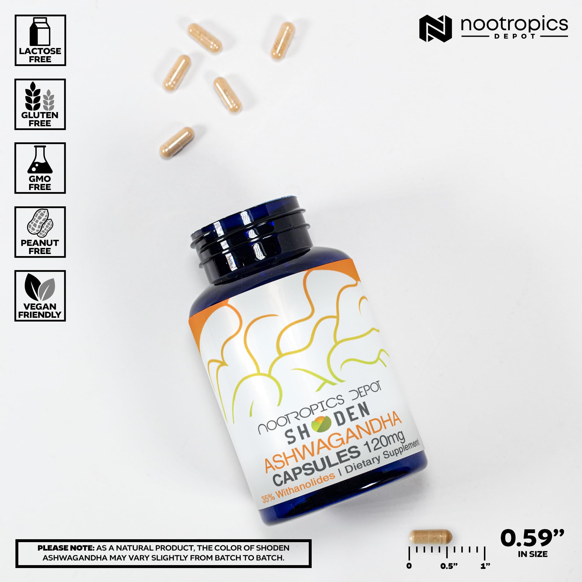 Nootropics Depot polvo del extracto textura fina para disolución eficiente