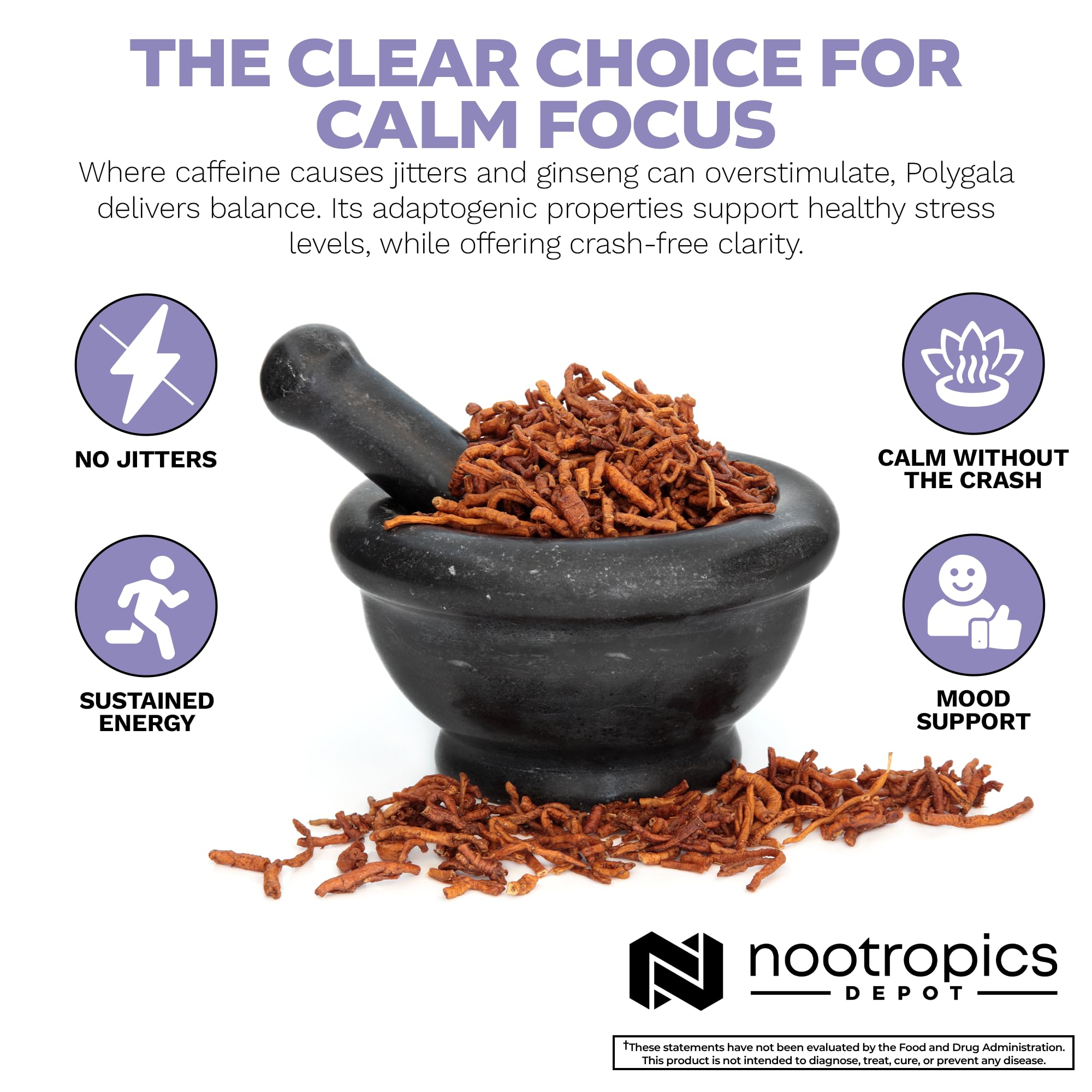 Nootropics Depot frasco en mano para comparar tamaño, útil para dosificación