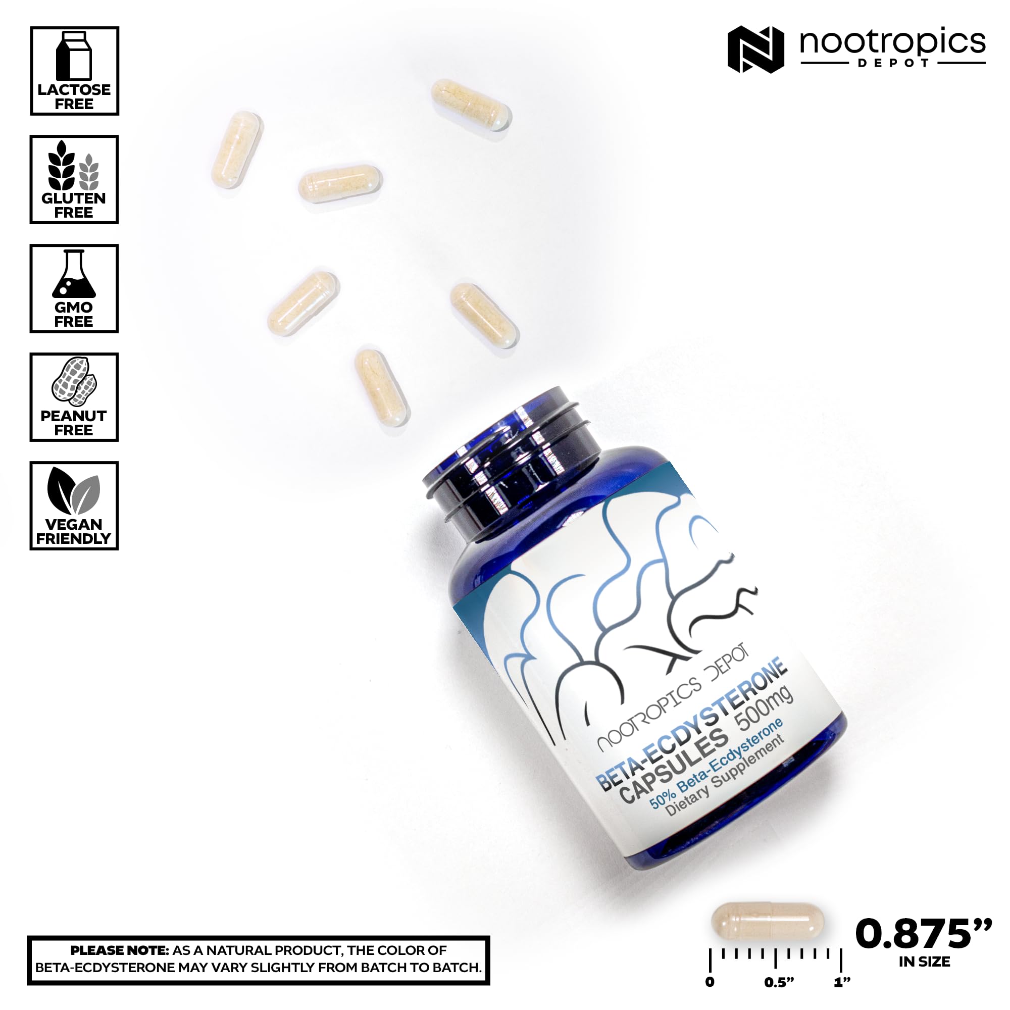 Nootropics Depot comparación de tamaño de cápsula junto a moneda para escala práctica