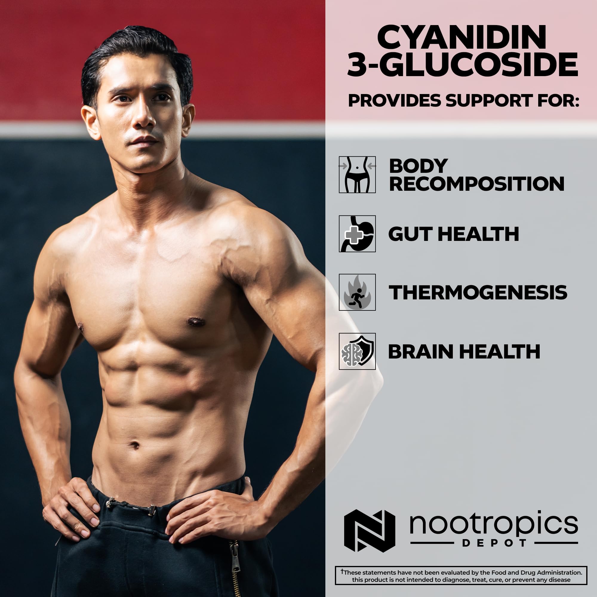 Nootropics Depot cápsulas junto a moneda para comparar tamaño y dosificación práctica