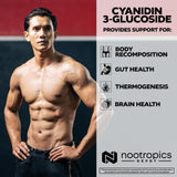 Nootropics Depot cápsulas junto a moneda para comparar tamaño y dosificación práctica