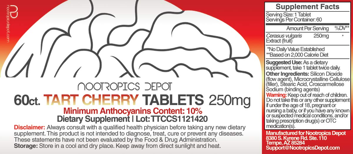 Nootropics Depot primer plano de tabletas mostrando textura y tamaño práctico