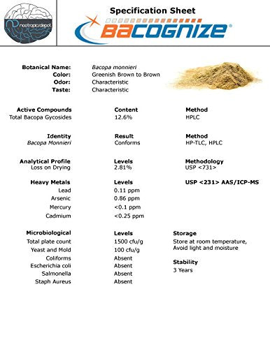 Nootropics Depot primer plano de cápsula mostrando acabado y calidad vegetal