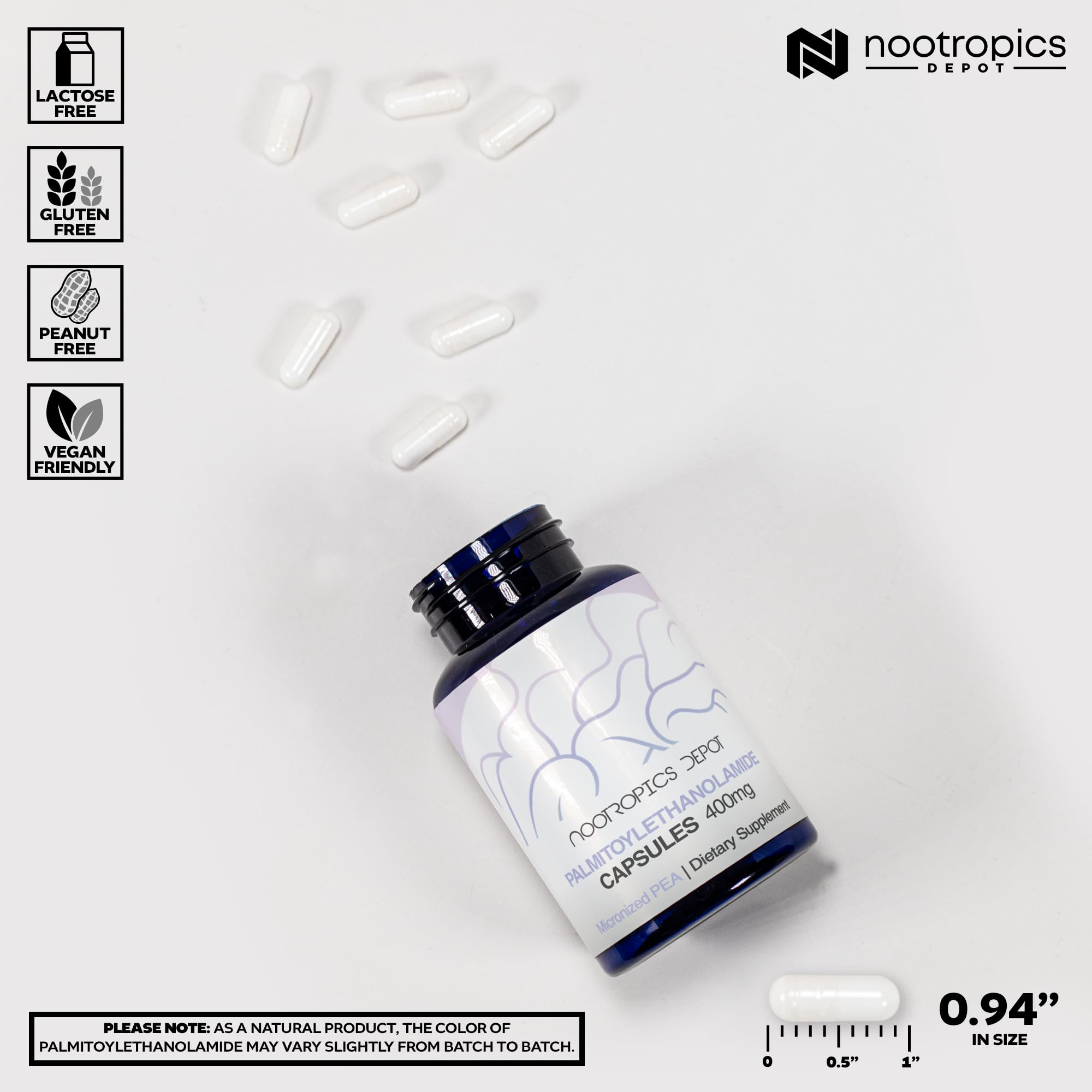 Nootropics Depot polvo micronizado textura fina para mejor absorción