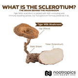 Nootropics Depot etiqueta nutricional Tiger Milk Mushroom con información de estandarización