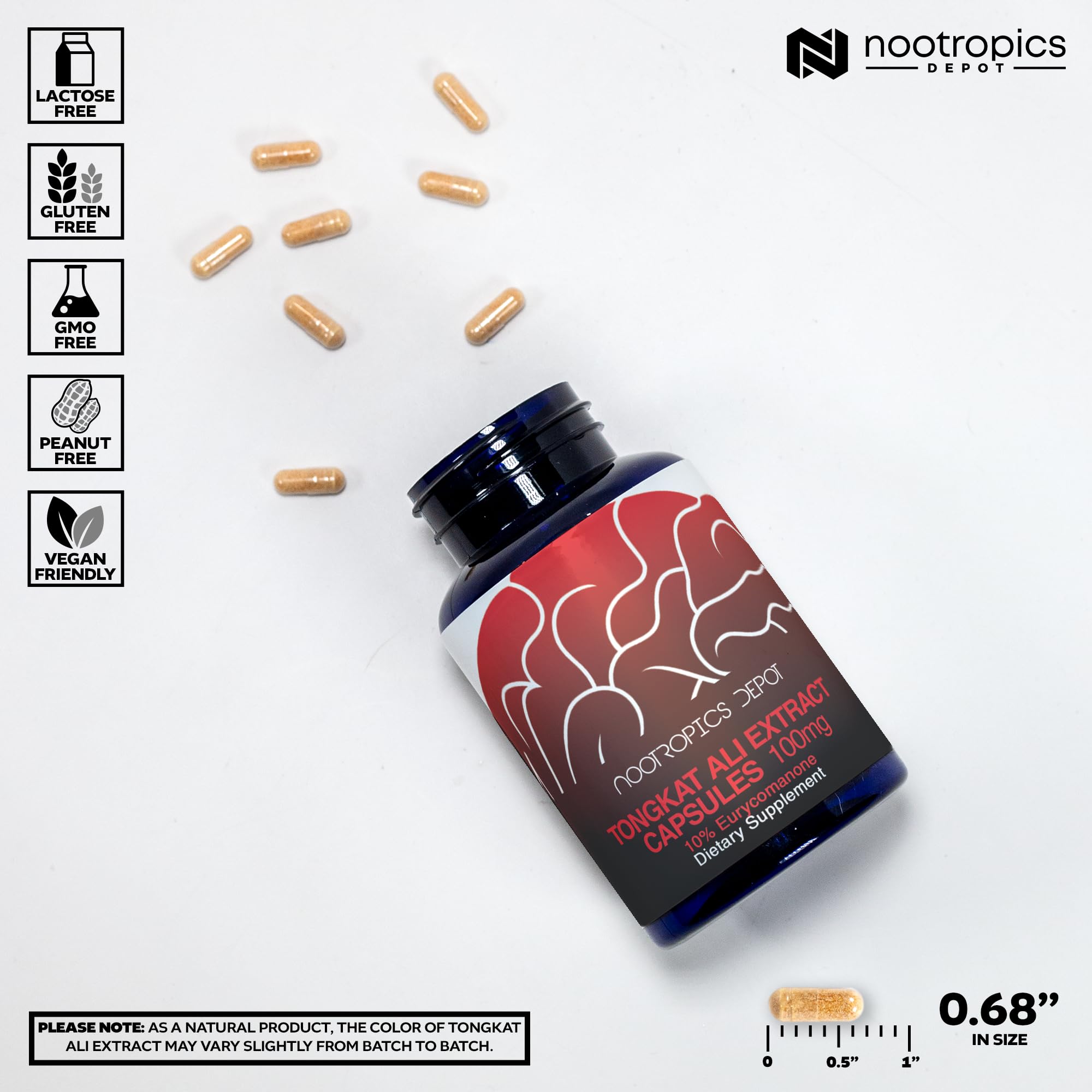 Nootropics Depot cápsula en mano para demostrar tamaño y facilidad de uso