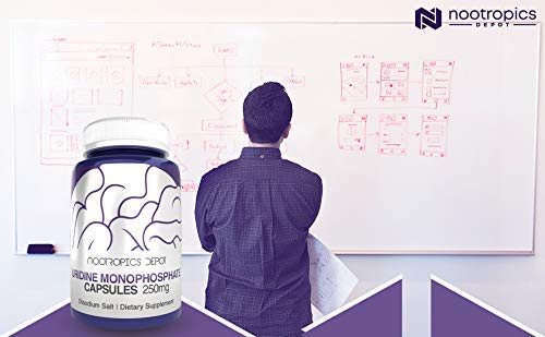 Nootropics Depot cápsulas en mano que muestran escala real y facilidad de ingestión
