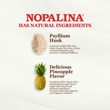 Nopalina mezclada en batido de frutas con piña, aporte de fibra con buen sabor