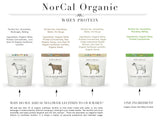 NorCal Organic textura del polvo suave y fina, beneficio mezcla sin grumos