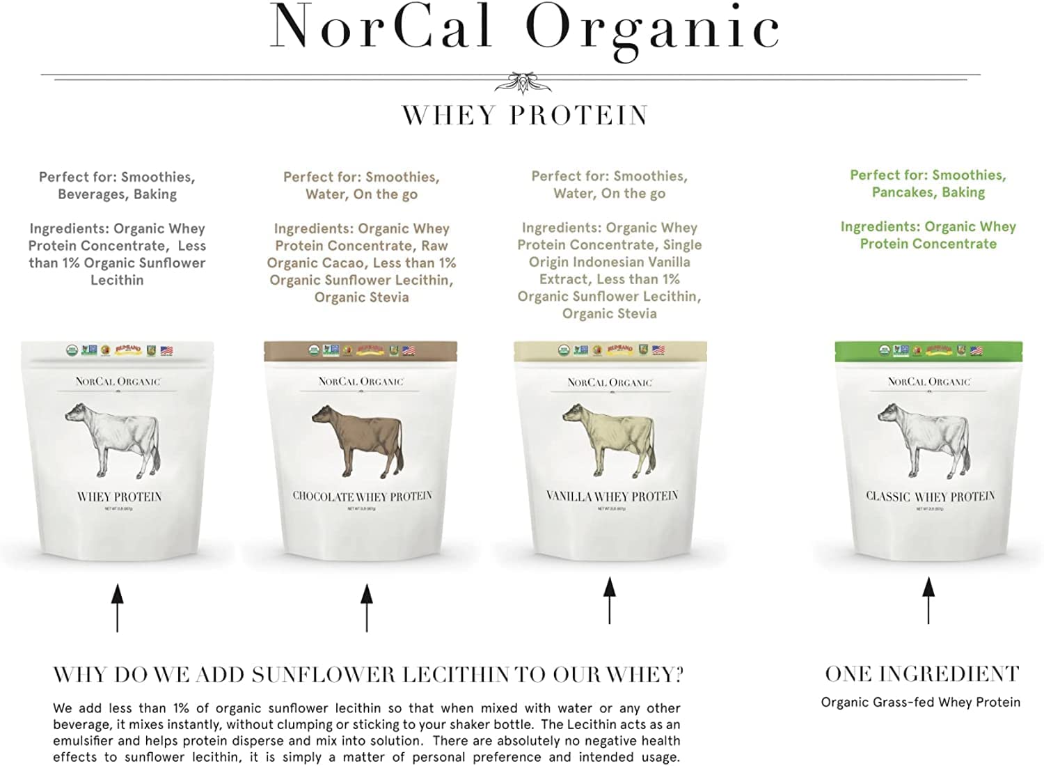 NorCal Organic vacas jersey pastando más de 300 días, mejor alimentación