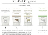 NorCal Organic vacas jersey pastando más de 300 días, mejor alimentación