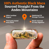 Nourishing Nutrients maca negra incorporada en batido nutritivo matutino