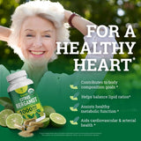 Nourishing Nutrients primer plano del extracto en polvo mostrando pureza