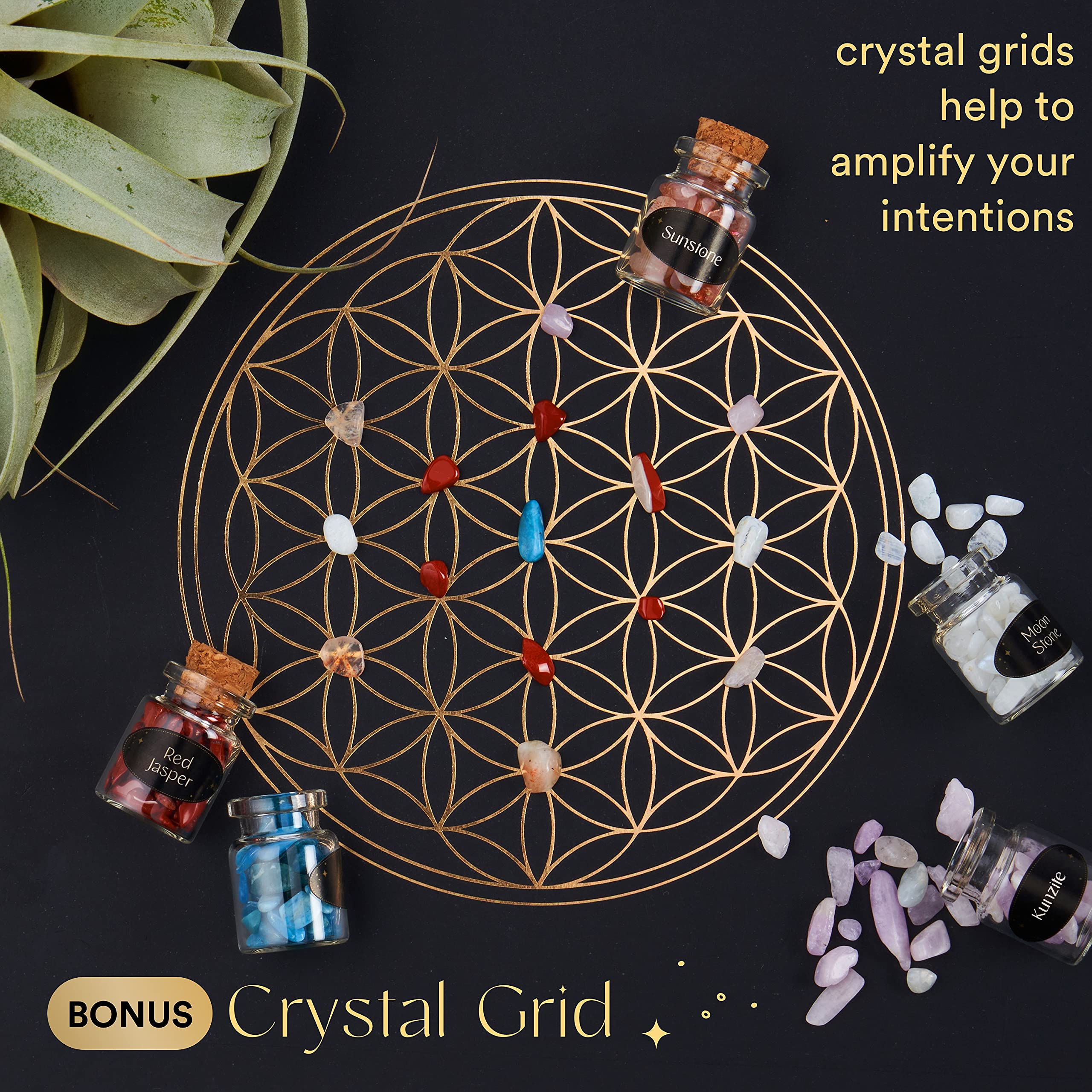 Nova Crystals etiquetas y guía abierta, identificación fácil y educativa