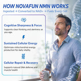Novafun frasco junto a una regla para comparar tamaño práctico