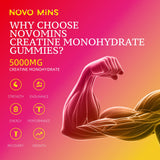 Novomins etiqueta con información nutricional y certificación GMP visible
