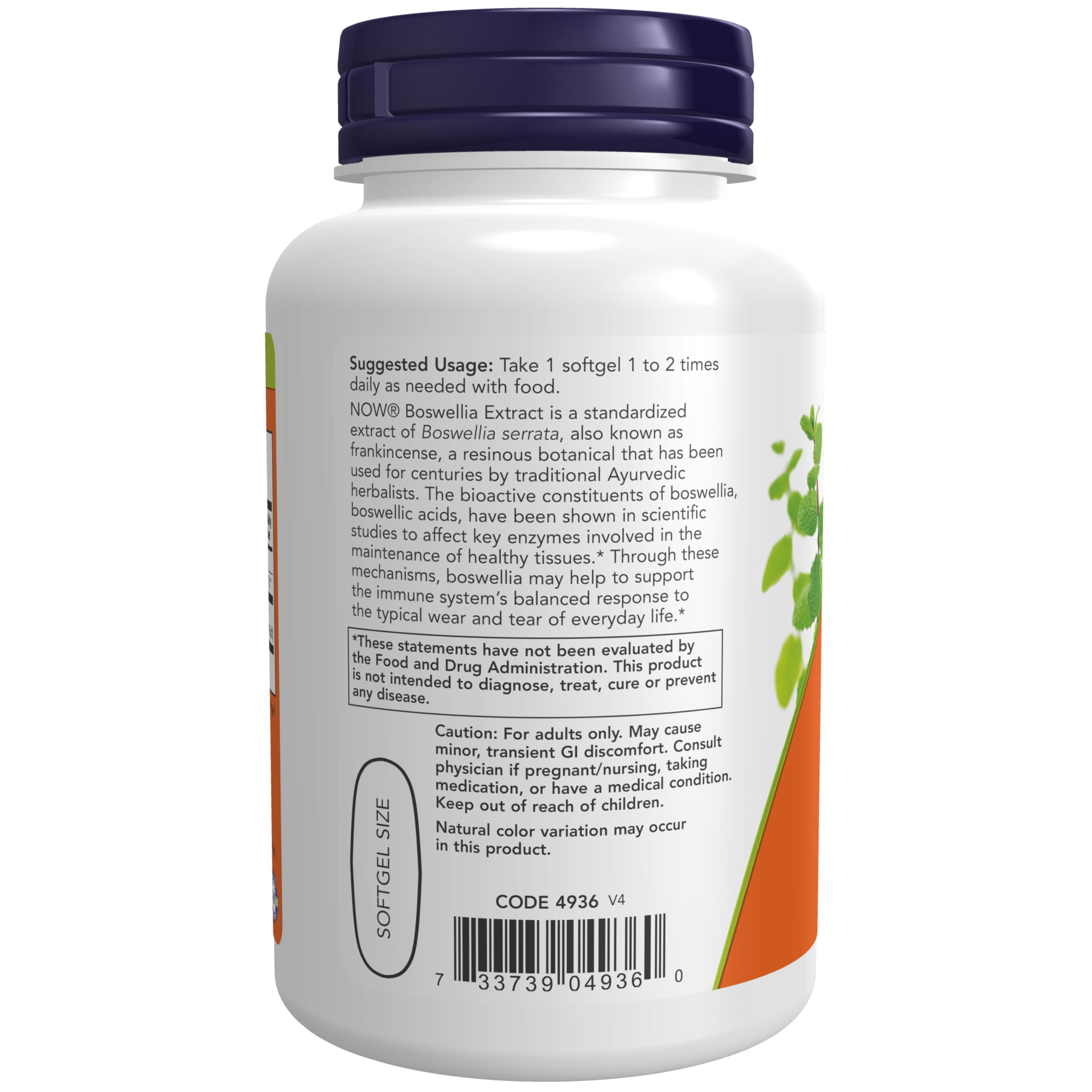 Gota de aceite MCT con extracto de Boswellia dentro de cápsula NOW para mejor absorción