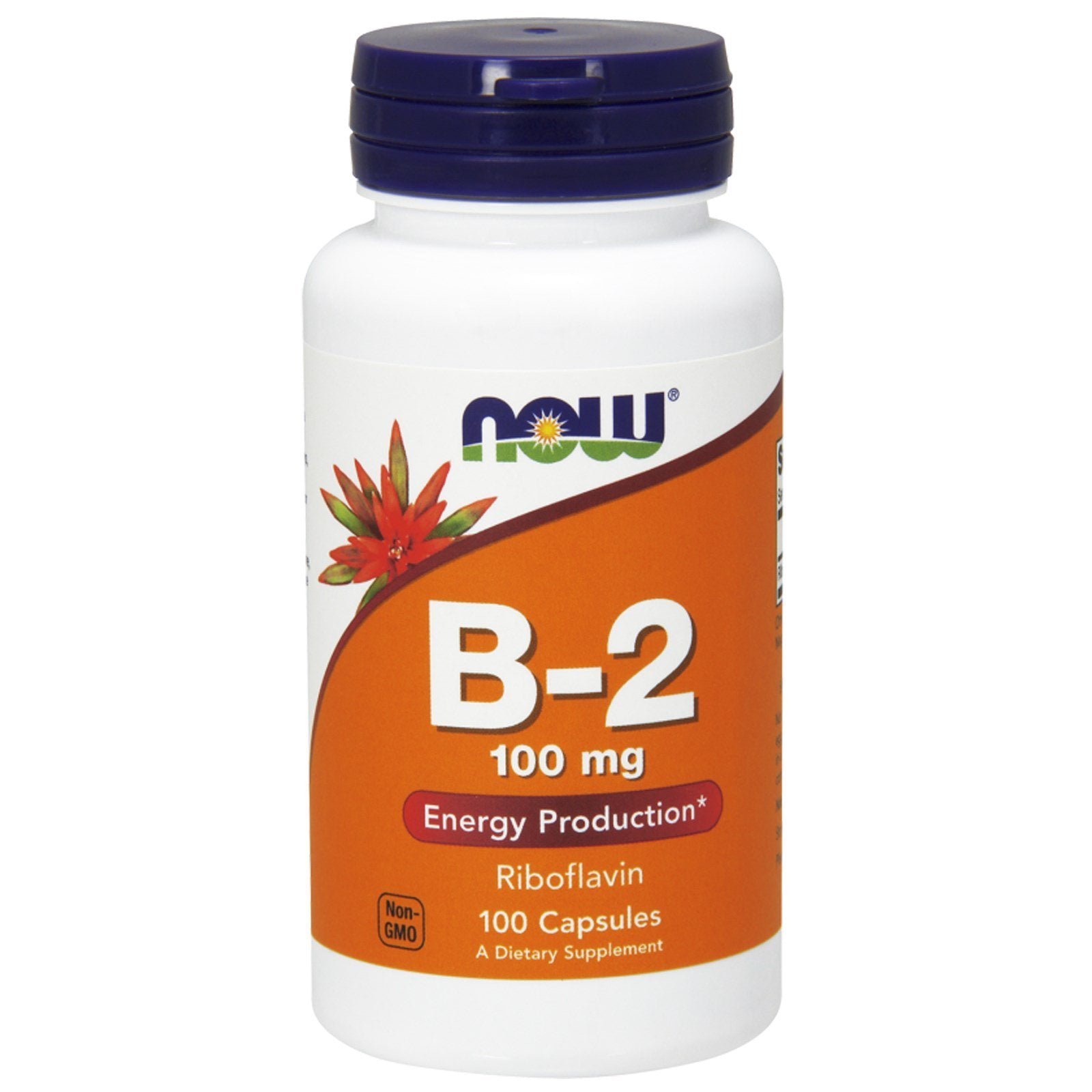 NOW Foods frasco frontal de B-2 100 mg mostrando etiqueta y cantidad