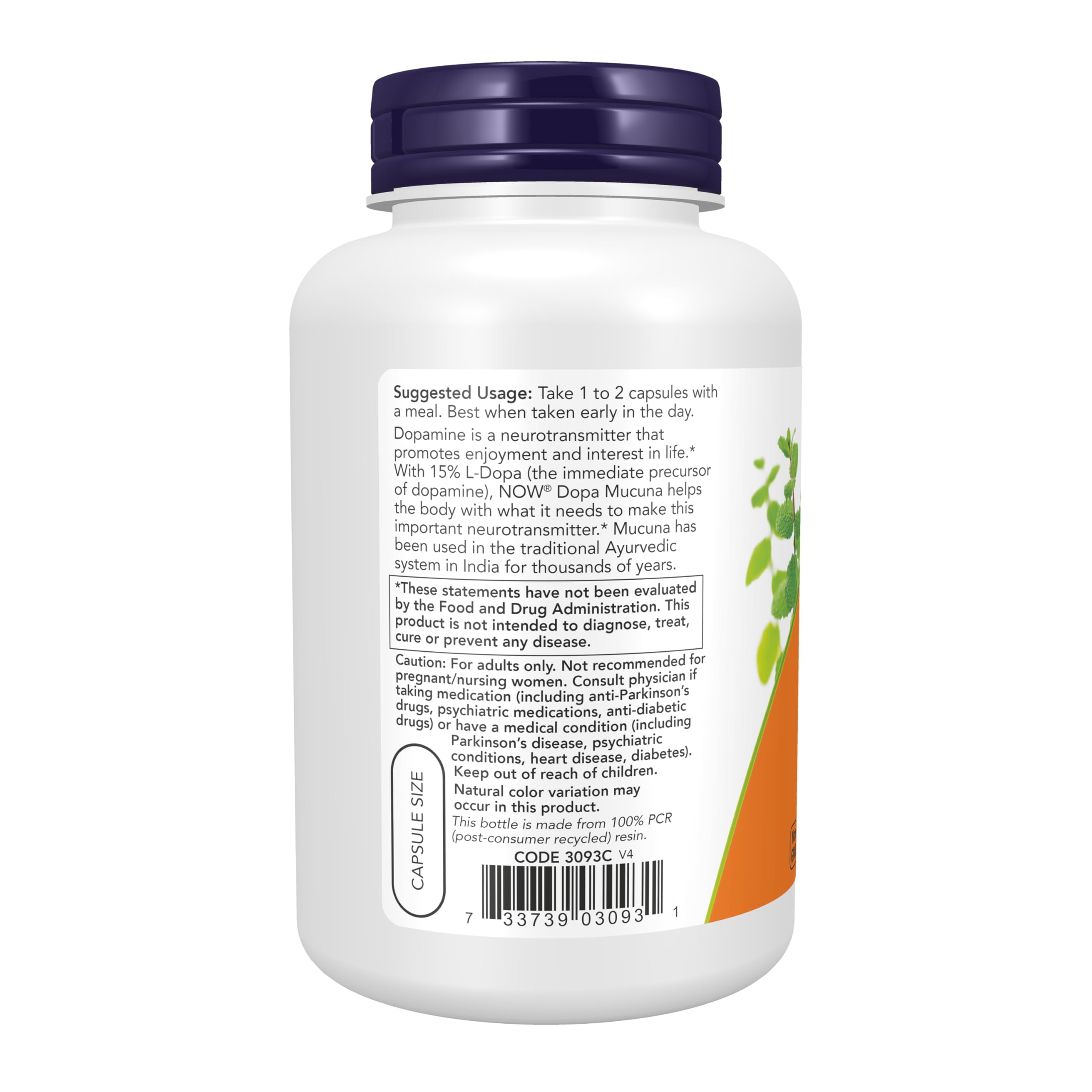NOW Foods detalle del polvo del extracto con textura y pureza visible