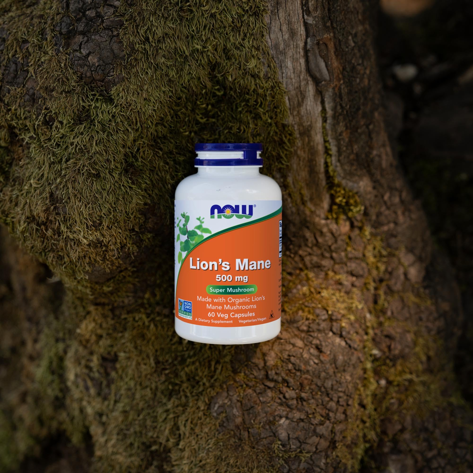 NOW Foods polvo usado en receta casera mostrando versatilidad