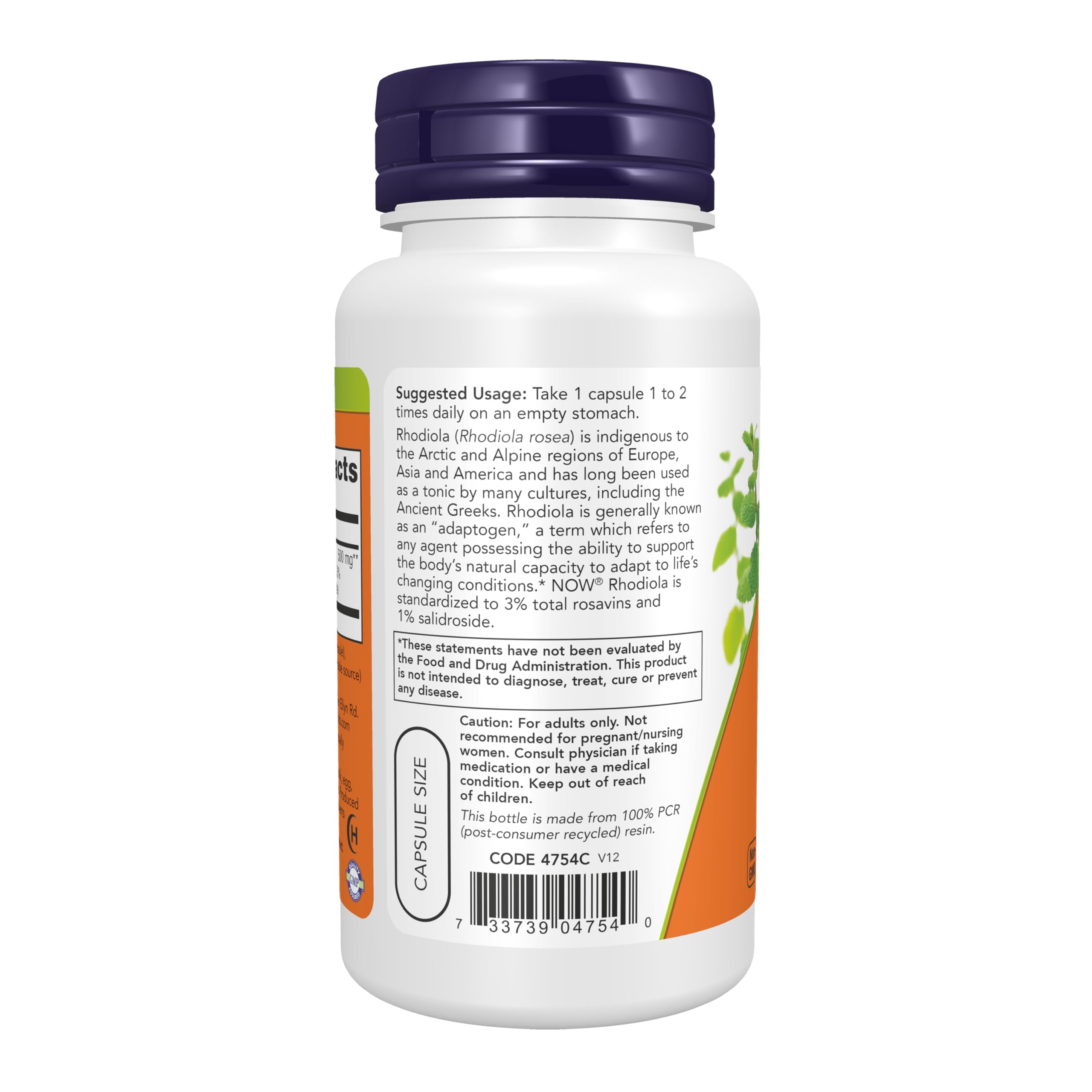 Primer plano de cápsula de NOW Foods Rhodiola destacando textura y tamaño fácil de tragar