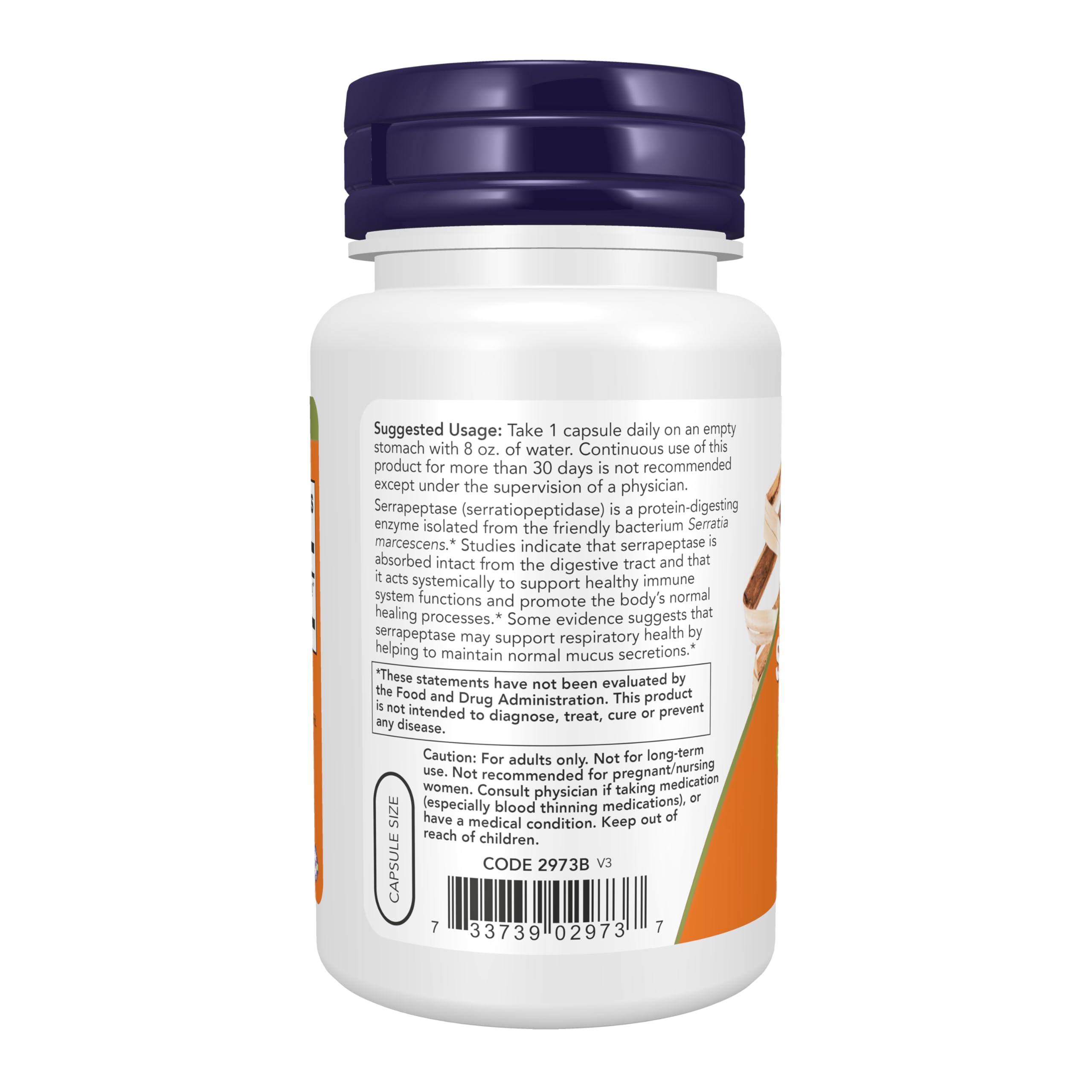 NOW Foods serrapeptase polvo de enzima en primer plano, aspecto puro y fino