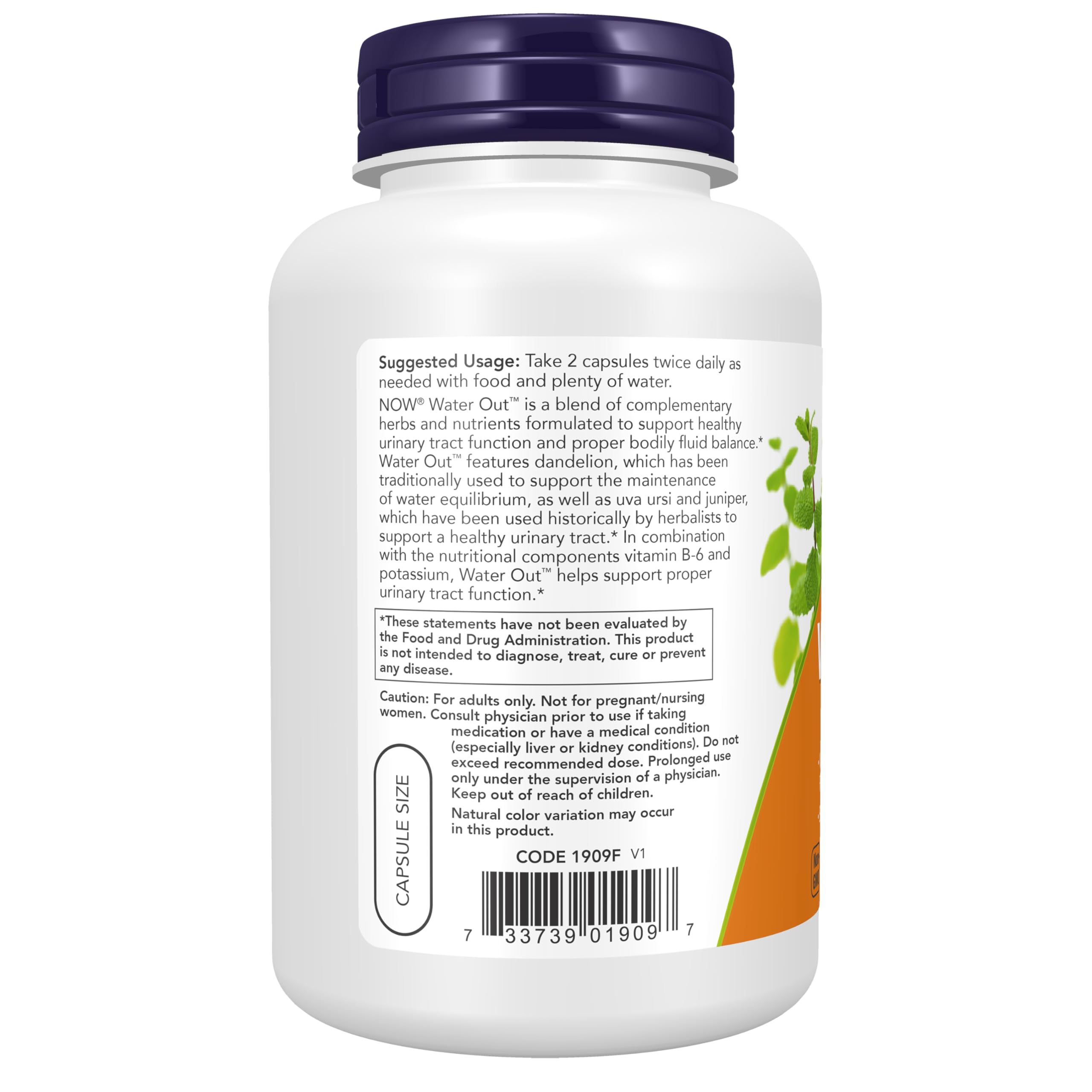 NOW Foods ingredientes clave uva ursi y enebro destacados para soporte urinario