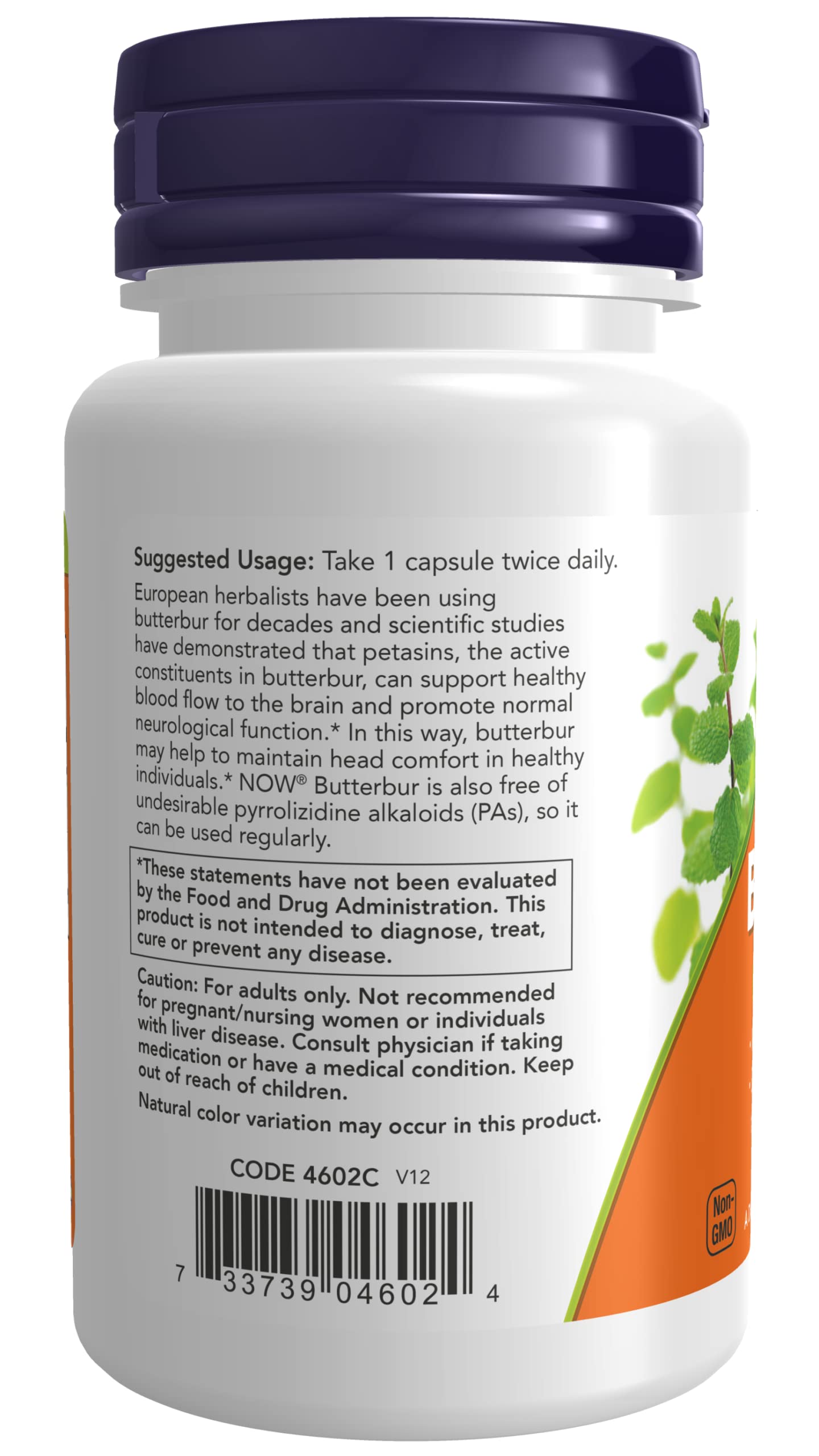 NOW Foods Butterbur en uso sobre mesa junto a vaso de agua para rutina
