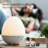 Nuanchu frascos junto a mano para comparar tamaño y facilitar uso DIY