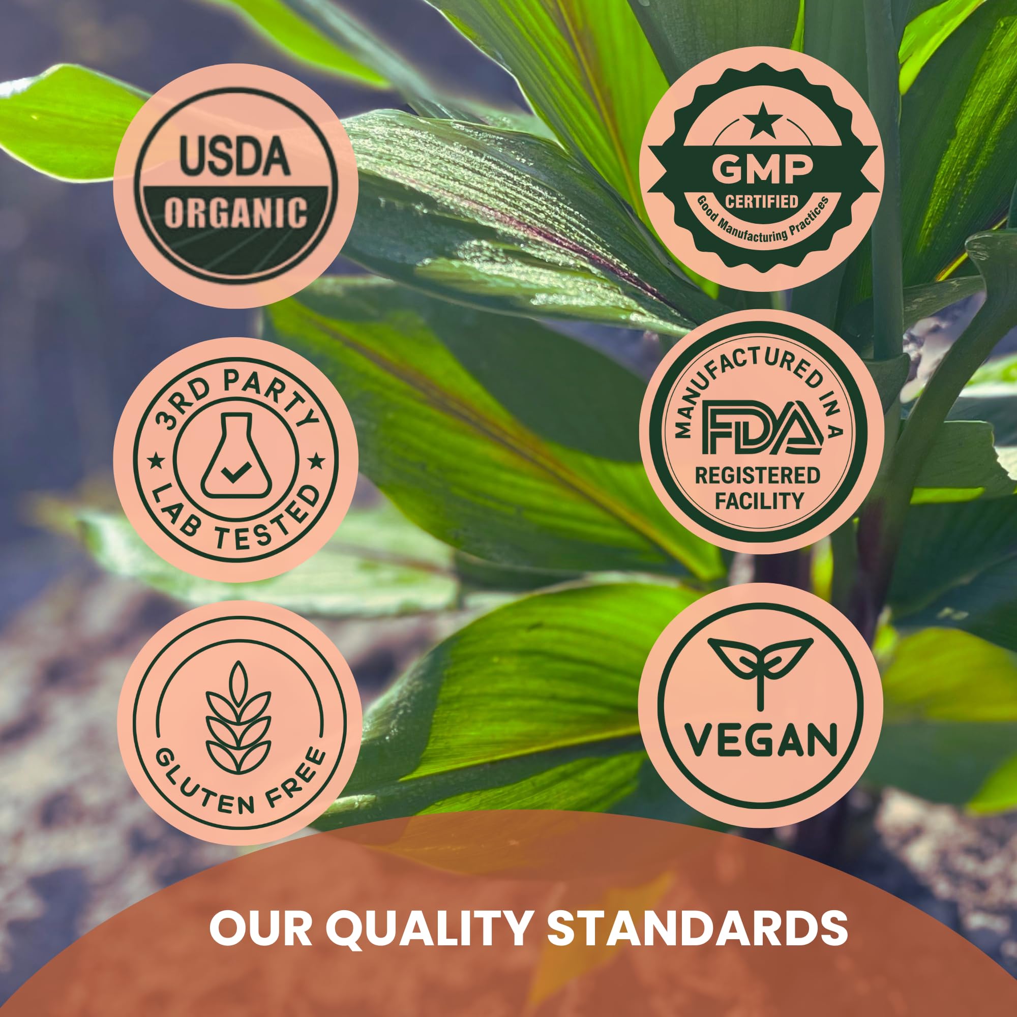 New Universe Food etiqueta con certificaciones USDA Organic y no-GMO visibles