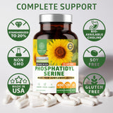 Number One Nutrition ingredientes: lecitina de girasol mostrando origen vegetal