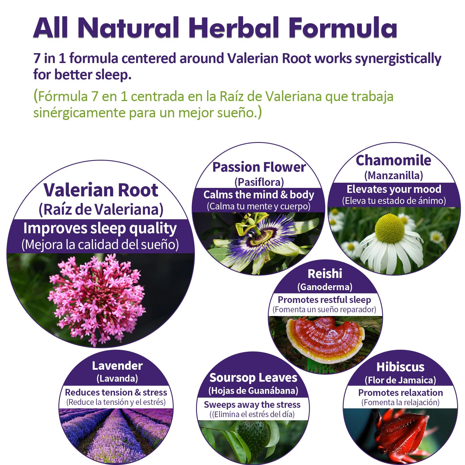 Nurbetoxa plantas utilizadas: valeriana, pasiflora y lavanda frescas