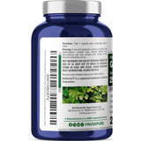 NusaPure polvo de extracto de ginkgo biloba enfoque en pureza visible