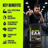Detalle de Alpha GPC y Ashwagandha en NutraBio Alpha EAA enfoque nootrópicos