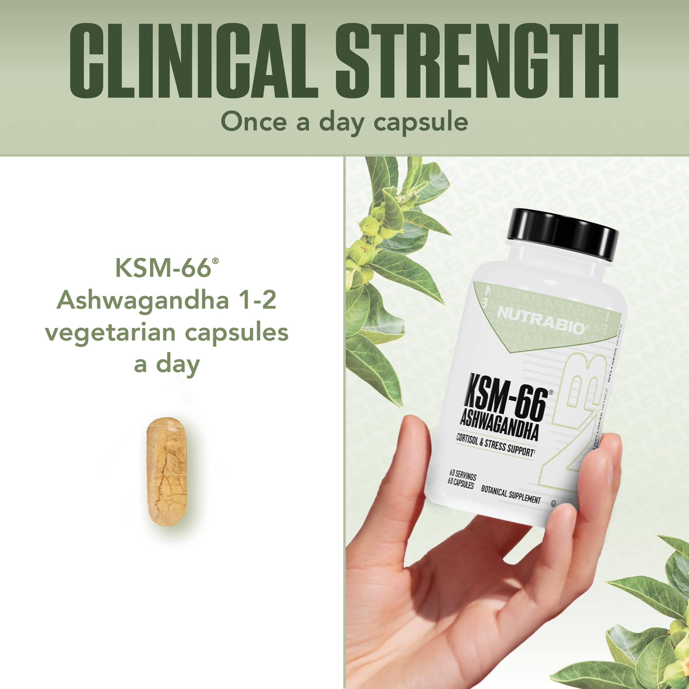 NutraBio cápsula junto a una moneda para comparar tamaño fácilmente