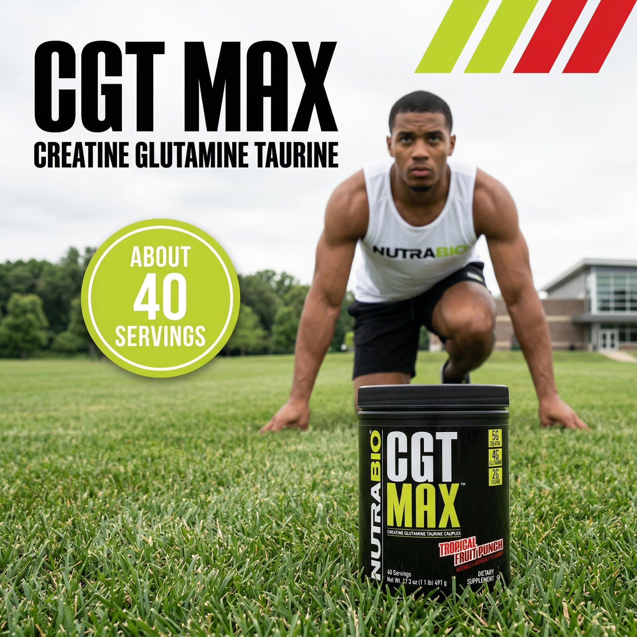 NutraBio CGT-MAX textura del polvo homogénea para disolución fácil