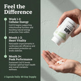 NutraBio polvo/textura de CoQ10 mostrando aspecto liposoluble