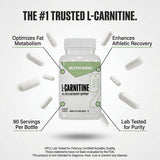 Comparación de tamaño de cápsula NutraBio frente a una moneda para escala visual