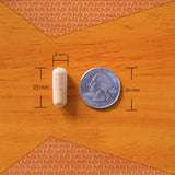 NutraBio cápsula comparada con moneda para mostrar tamaño práctico