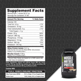 NutraBio polvo Dutch Chocolate textura cercana, aspecto cremoso y mezcla fácil