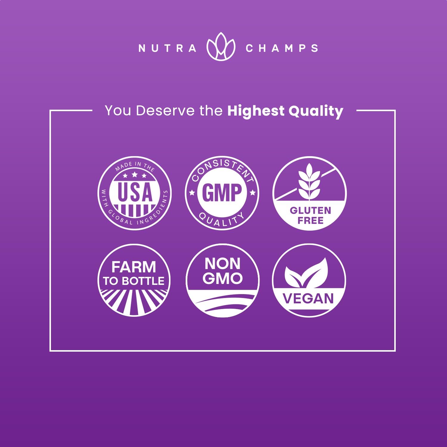 NutraChamps frasco en ambiente de cocina transmitiendo uso diario saludable