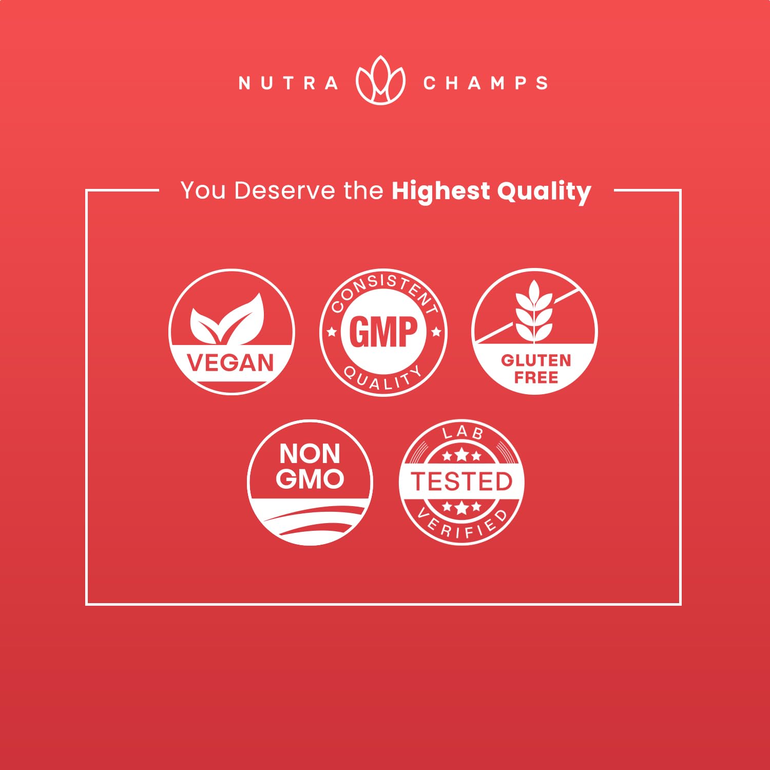 NutraChamps estilo de vida en cocina mostrando integración en rutina diaria