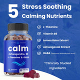 NutraChamps ingredientes clave: ashwagandha, L-Theanine y melisa para equilibrio emocional