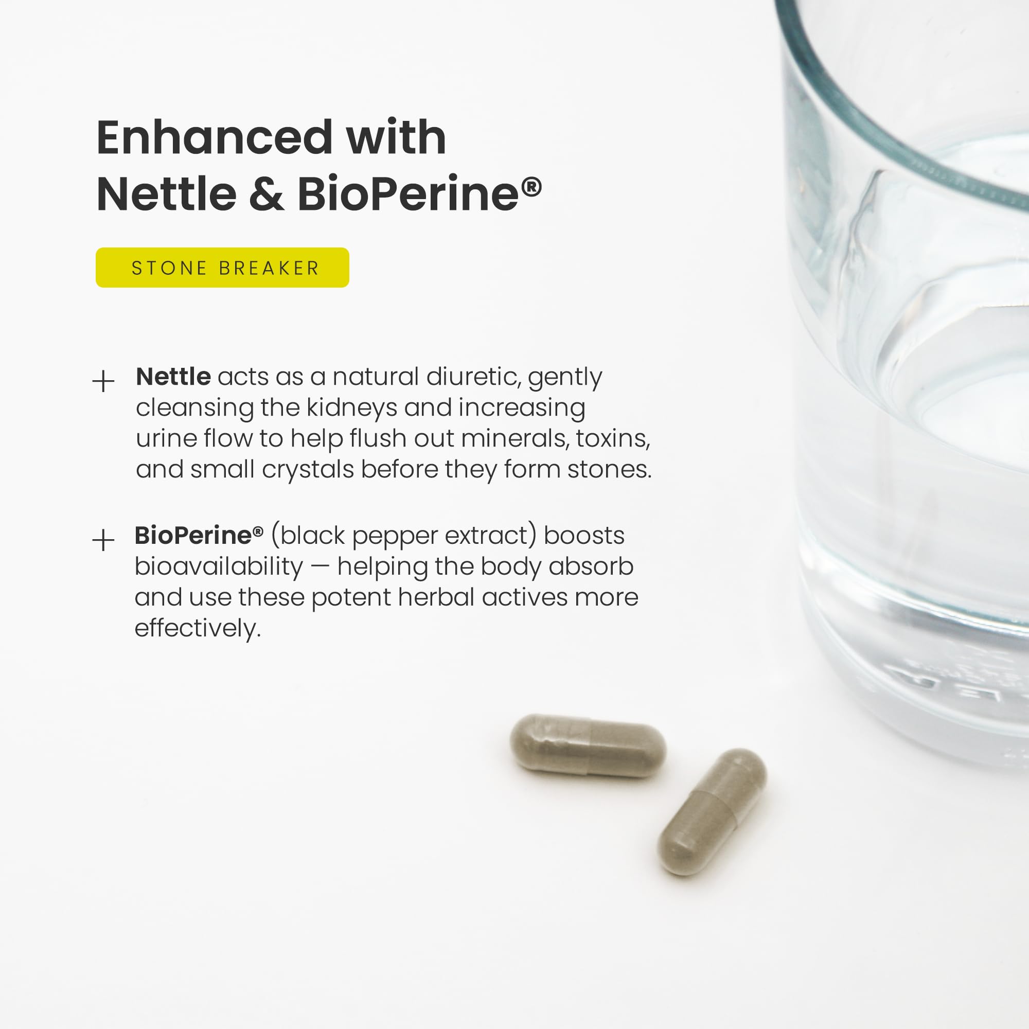 NutraChamps etiqueta con ingredientes y certificaciones, transparencia informativa