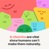 NutraChamps etiqueta con lista de vitaminas B y certificaciones visibles