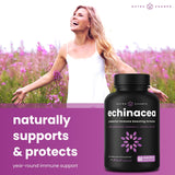 NutraChamps ingredientes secos: equinácea, saúco y jengibre para antioxidantes