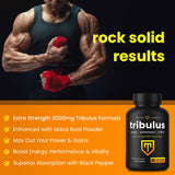 NutraChamps tribulus cápsula en mano para ver escala y dosificación visual