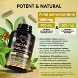 NUTRAHARMONY cápsulas en mano para comparar tamaño y dosificación